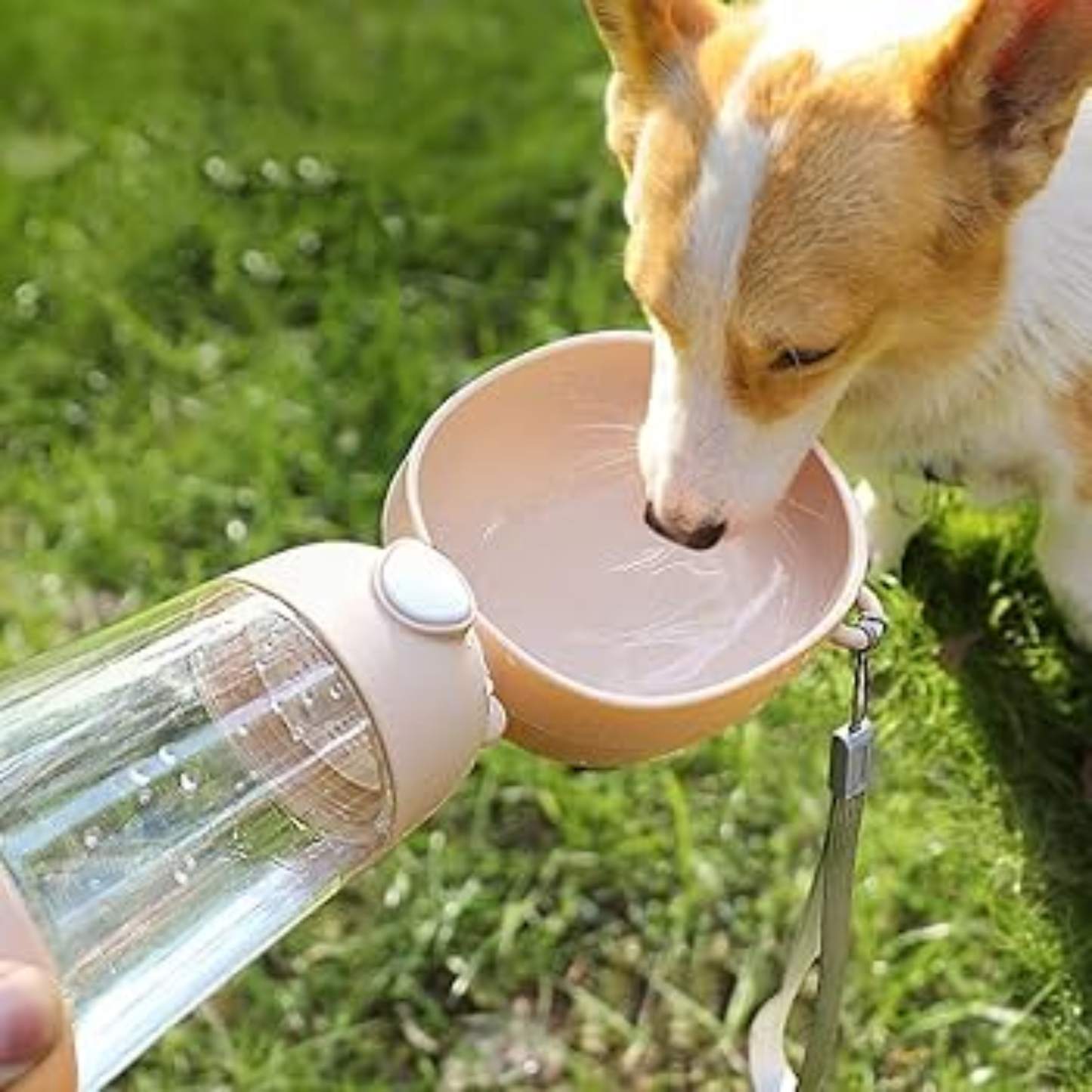 Botella 2 en 1 Portátil para mascotas