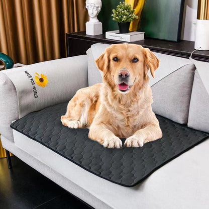 Tapete de Entrenamiento Reutilizable e Impermeable para Perros